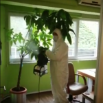 dezenfekte-tam-temizlik